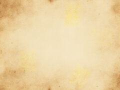 Privacy Policy image 2